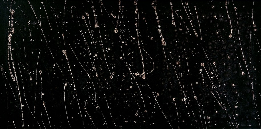Franklin Chow, Mer d'encre
2012, Ink and oil on canvas