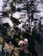 jorma puranen sixteen steps to paradise