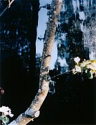 jorma puranen sixteen steps to paradise