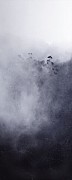 craigie horsfield toward montana pedraie 1 4
