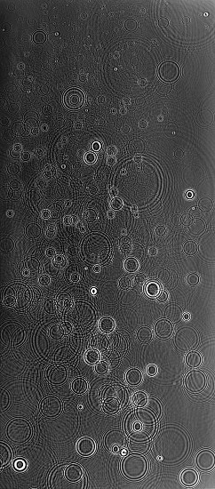 Adam Fuss, Untitled
2007, Gelatine silver photogram