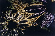 anneleis strba 27 2
