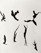 1191 henri michaux 2