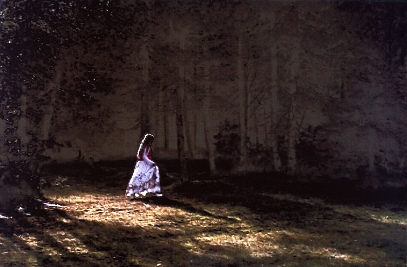 Annelies Strba, France und die Elfen
2004, Ink jet on canvas